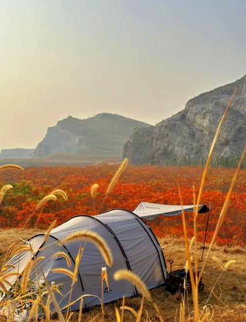 湖北南漳张家寨山顶草坪露营秋景