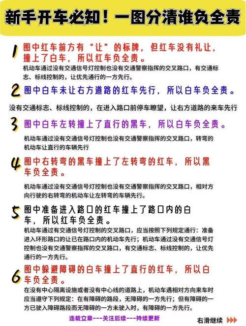 避让流浪猫引发交通事故的责任认定示意图