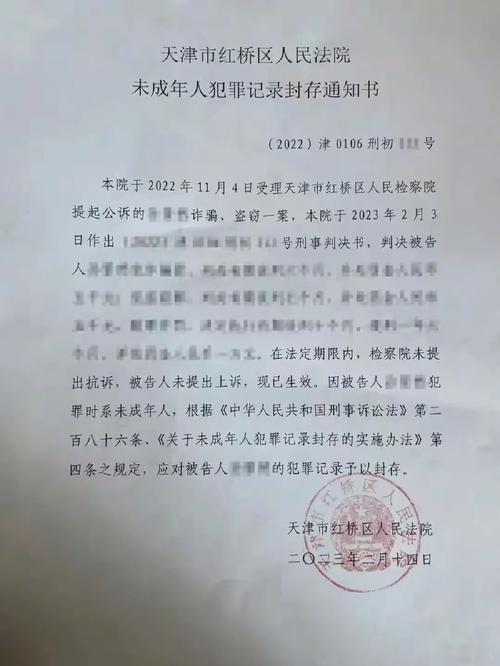 基层法院未成年人犯罪记录封存档案袋