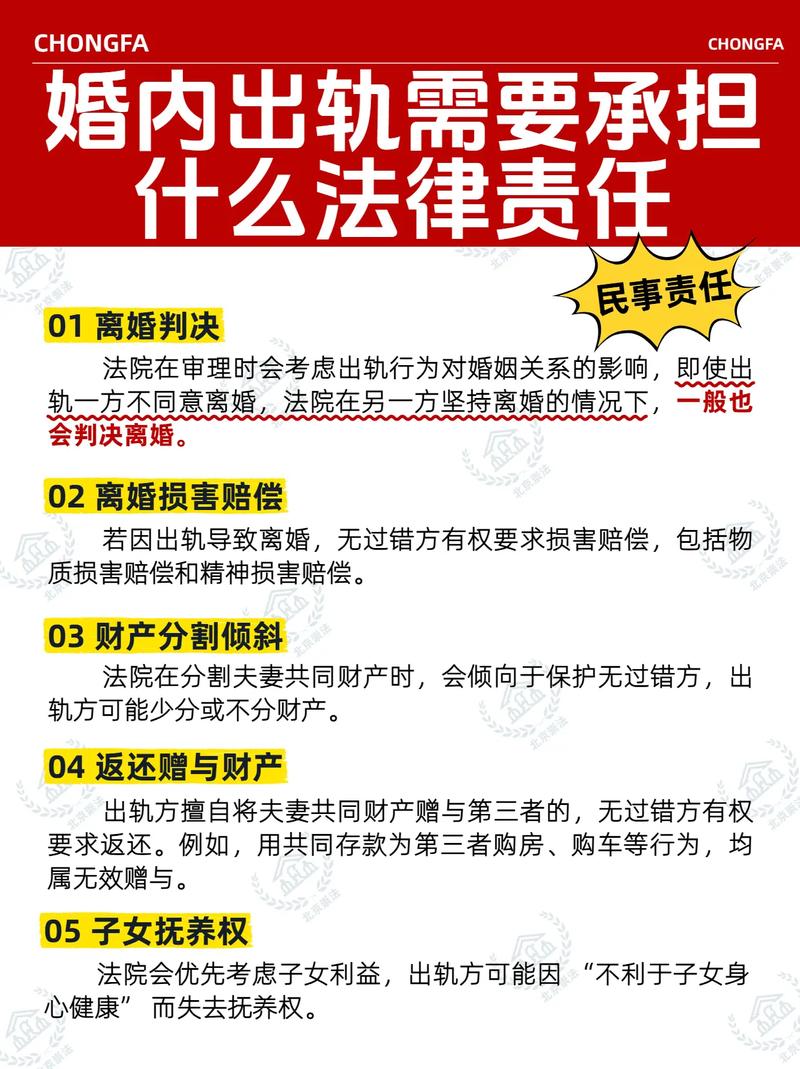 离婚损害赔偿举证责任分配示意图