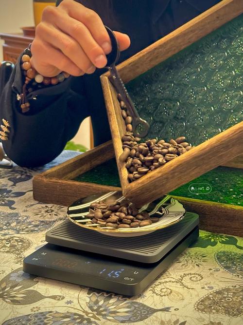 手捧浅烘熟咖啡豆户外闻香场景图