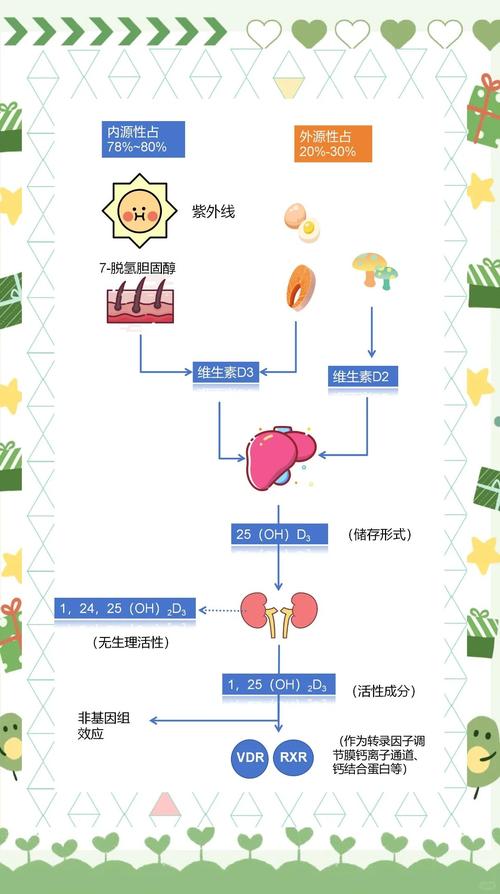 晒太阳合成维生素D时间示意图