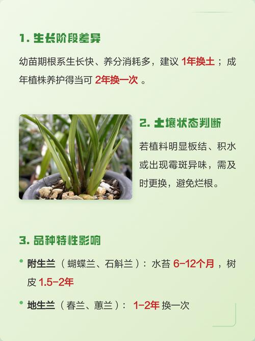 换土时机和频率,别一年换一次就完事