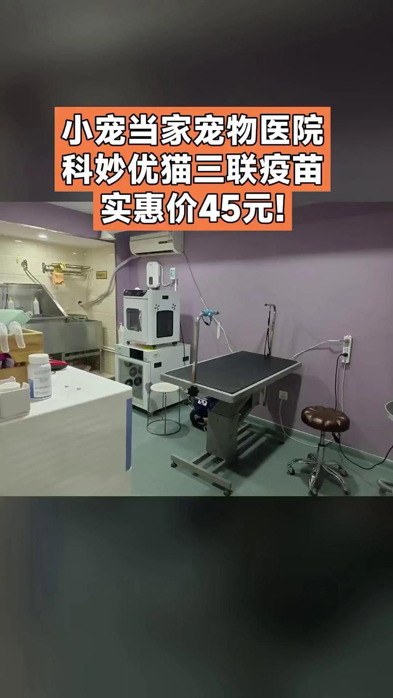 宠物医院前台摆放的猫犬联苗包装盒实拍