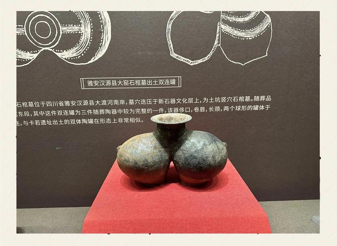 辣椒的辛辣真相:从调味品到文化符号-因为所以