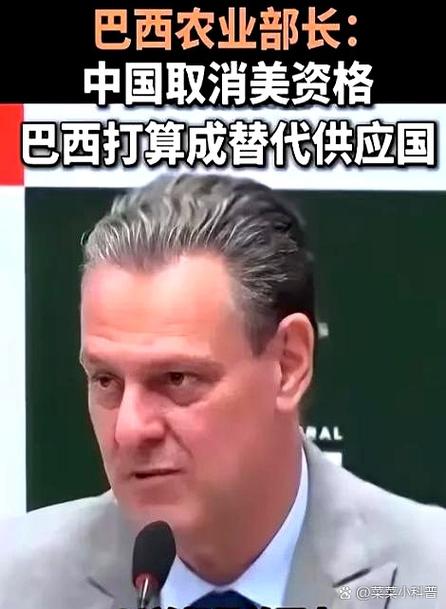进口替代热乎劲下，藏着没说出口的难题
