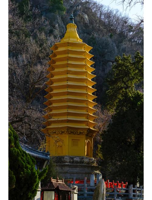 天津盘山天成寺古松树景观