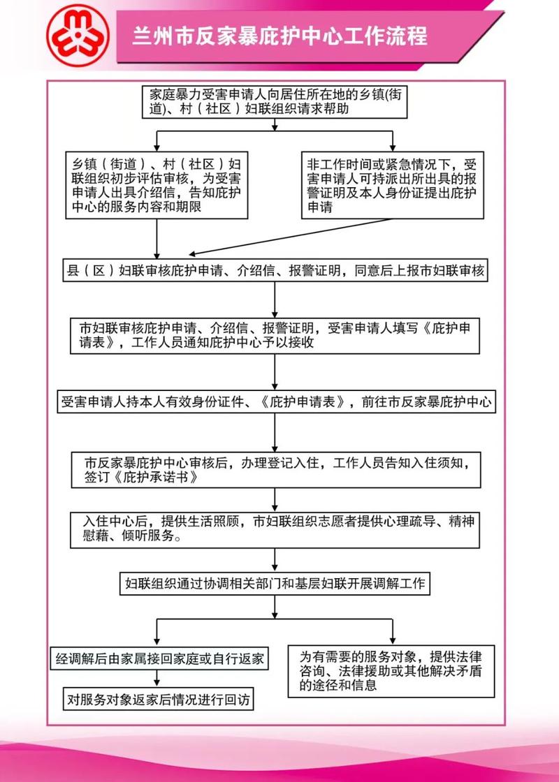 反家暴法举证责任分配流程图