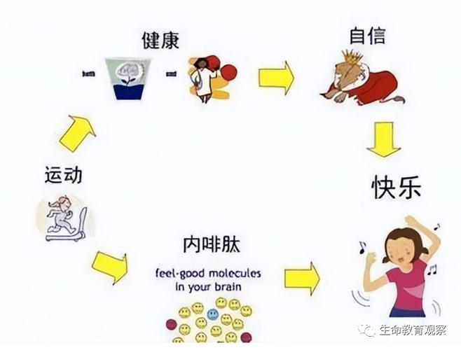 跑步分泌内啡肽缓解失恋情绪示意图