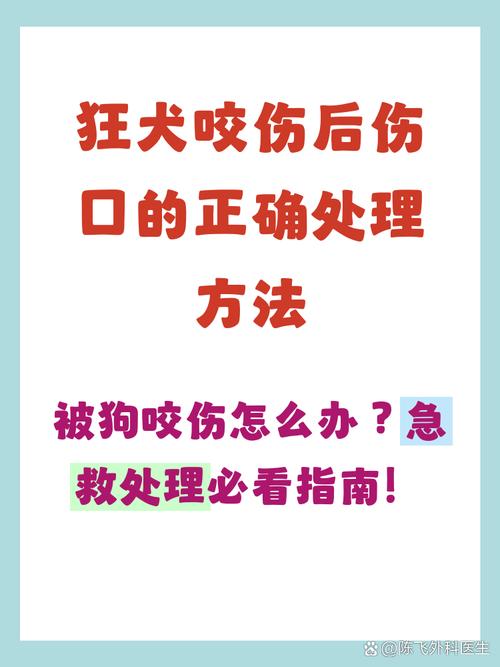 狂犬病暴露后伤口消毒步骤图
