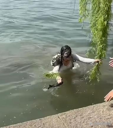 水边的意外收获:不看手机的时候,眼睛在度假