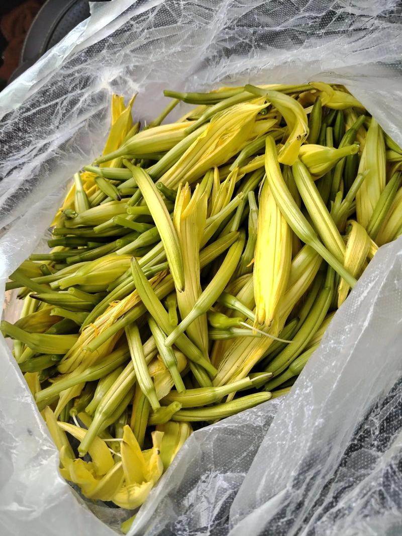 今天就能动手的动作清单，别拖到黄花菜都凉了