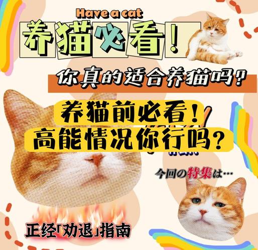 吸不住的时候,先别忙着换件