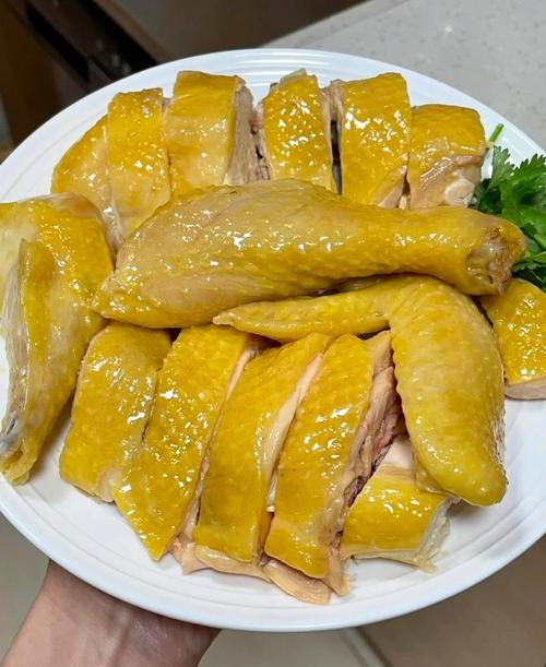 隆仔鸡饭店白切鸡特写