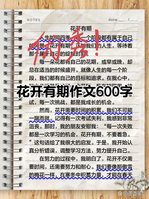 我从花苞学到的事：别急着绽放