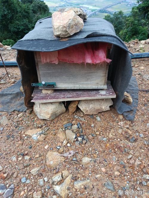 湖北南漳荆山深山养蜂场蜂箱