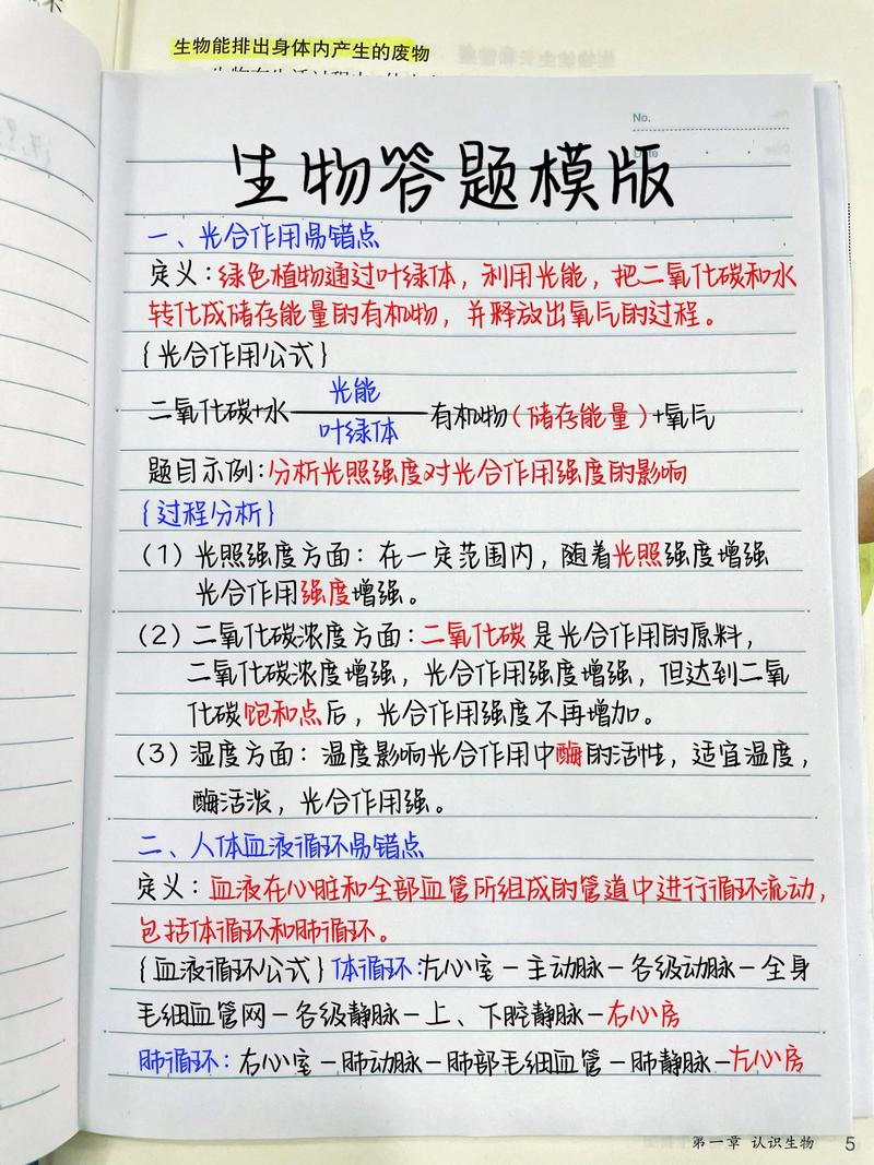 孩子手写整理的生物答题框架草稿