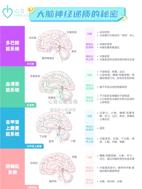 分手后走不出来?恋爱心理揭秘:你的大脑在“戒断反应”-我问答网