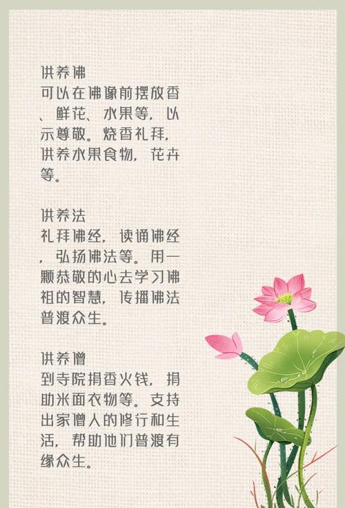🧼 使用与保养:别把它当祖宗供着