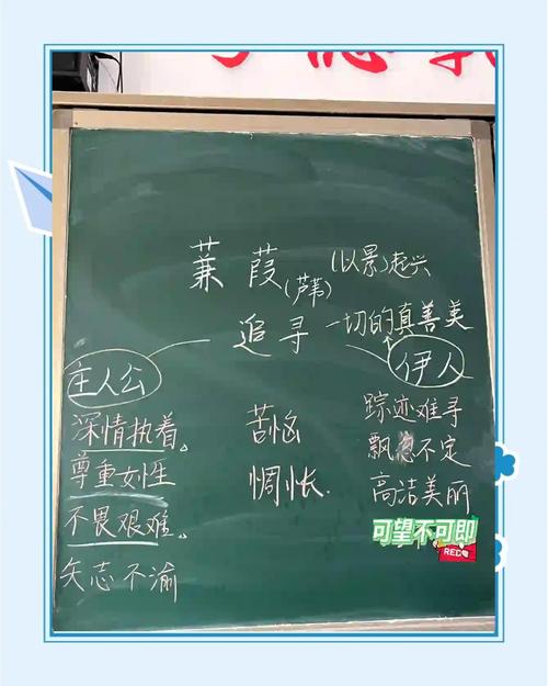 古诗文教学蒹葭秋霜体验课堂场景