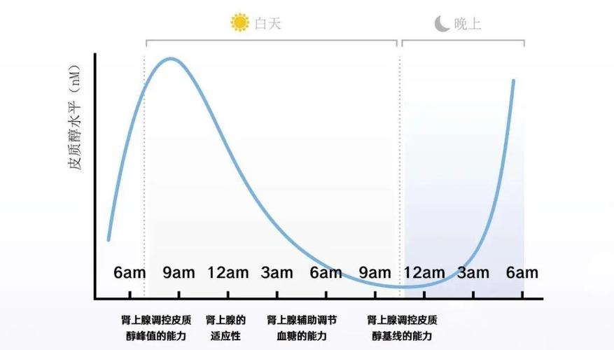 三餐进食节奏,可能是你忽略的最重要健康习惯-仁者医