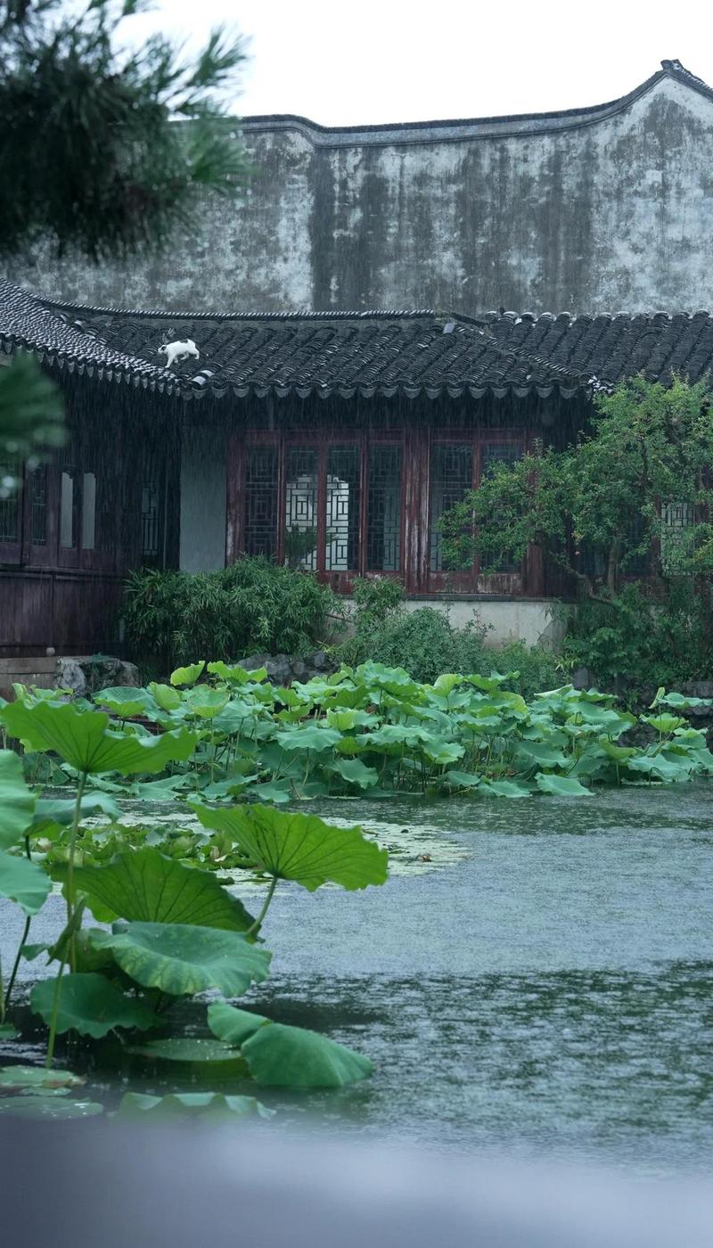凉亭:我们为什么会对一座空亭子着迷?-因为所以