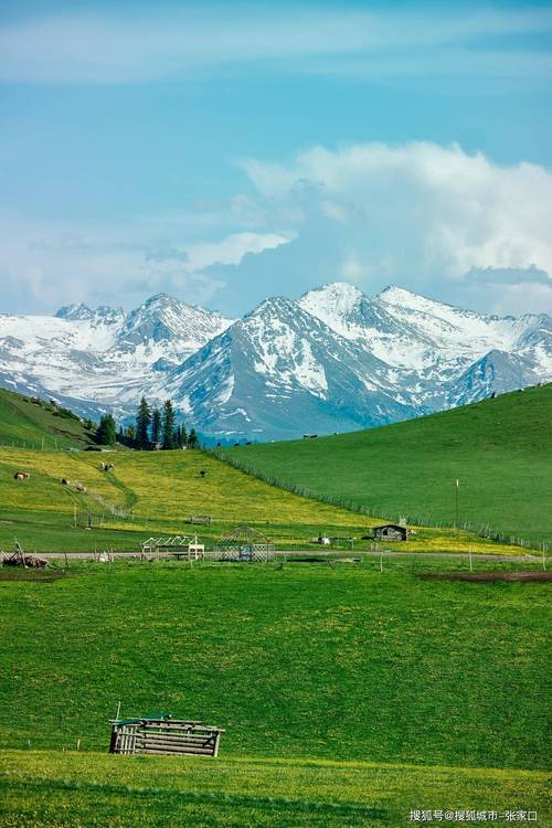 阿勒泰草原雪山