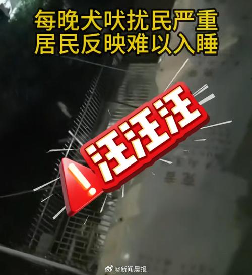 小区居民记录养犬扰民音频证据实拍