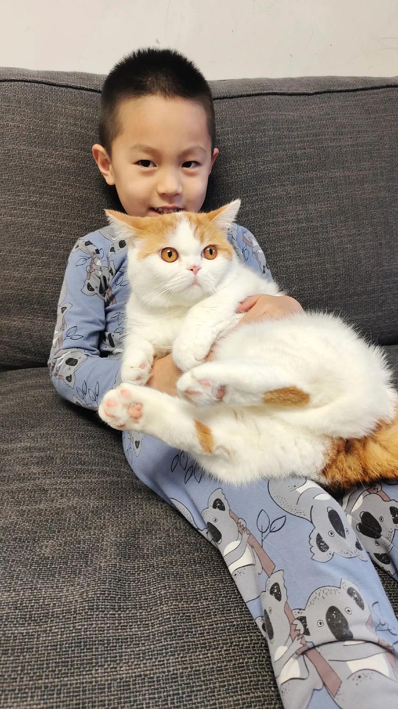 小学男孩写完10分钟作业抱着家里橘猫笑的日常场景