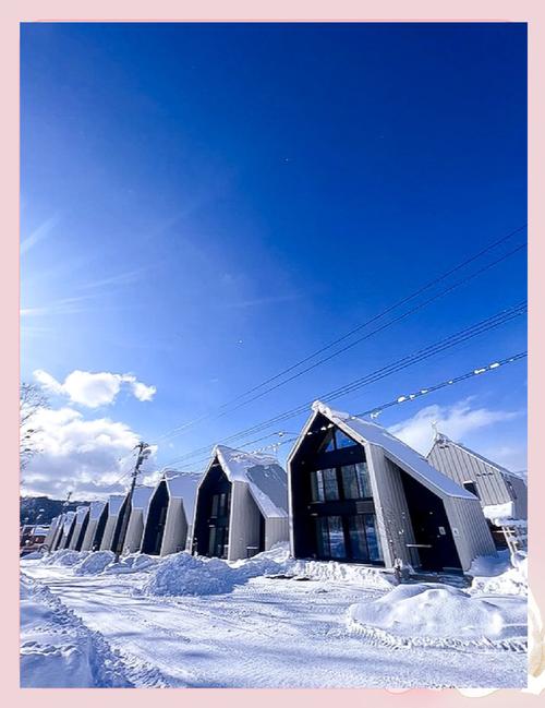 日本北海道二世谷滑雪场深粉雪树林