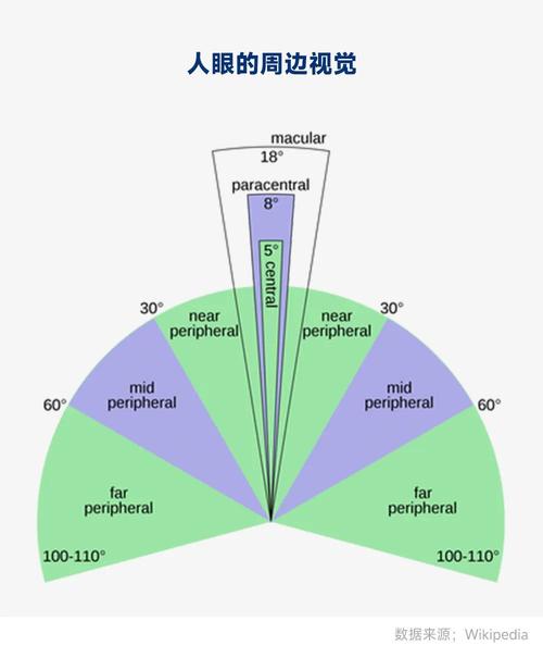 散瞳后眼底周边区域检查视野对比示意图