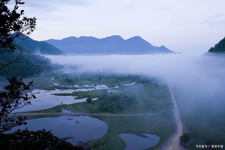 神农架大九湖夏季湿地晨雾