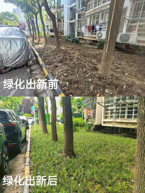 小区公共绿地改造前后对比图