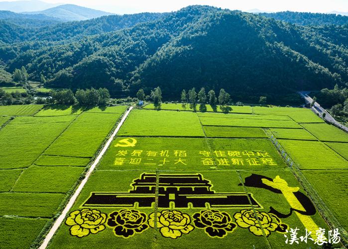 南漳东巩荆山脚下东巩官米稻田
