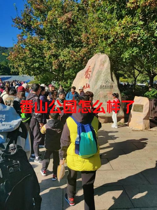 枫叶红了,可你真的看懂它了吗?-因为所以
