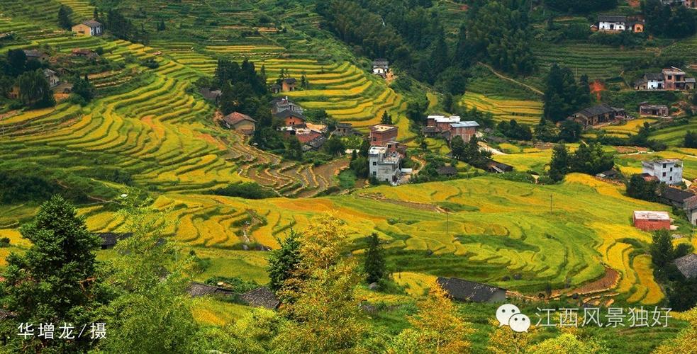 湖北南漳东巩寨子米梯田秋景