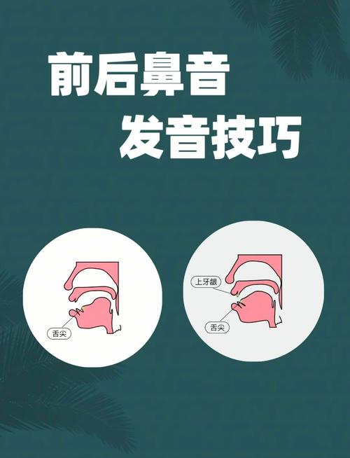 小学拼音前后鼻音发音位置示意图