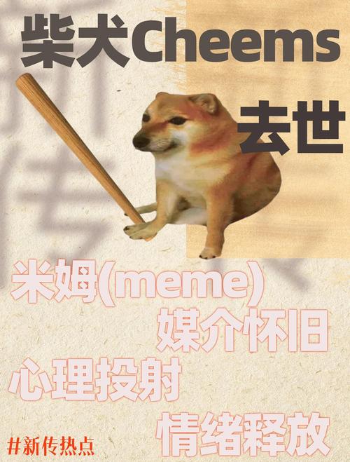 梗消失之后,留下了什么?