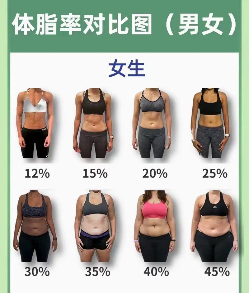 皮下脂肪与内脏脂肪位置对比示意图