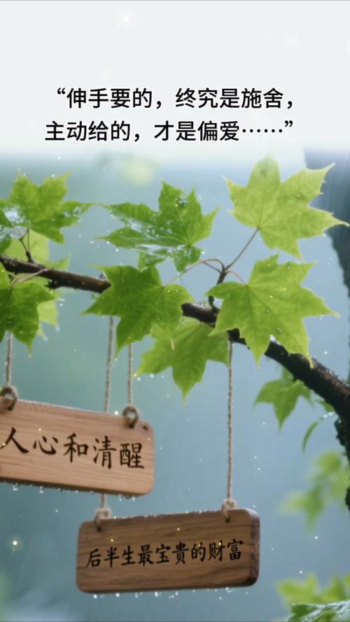 我们能给的，从来不是施舍同情
