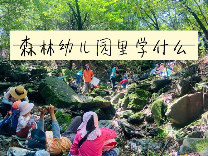 关于森林幼儿园,90%家长都踩过这三个坑