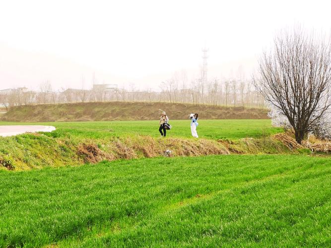 立春户外草地踏青散步场景图