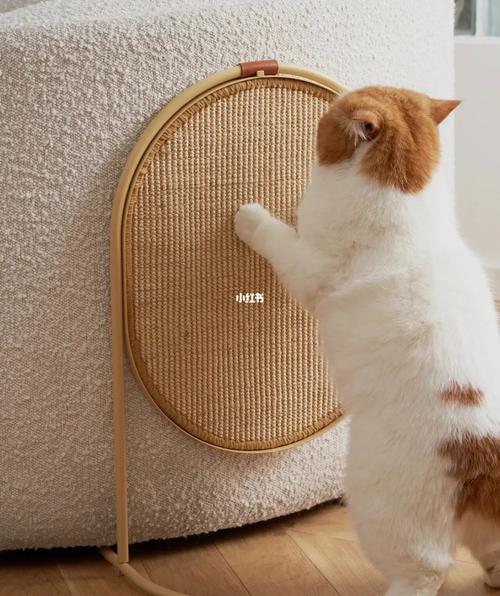 不同年龄的猫，要选不一样的猫抓板