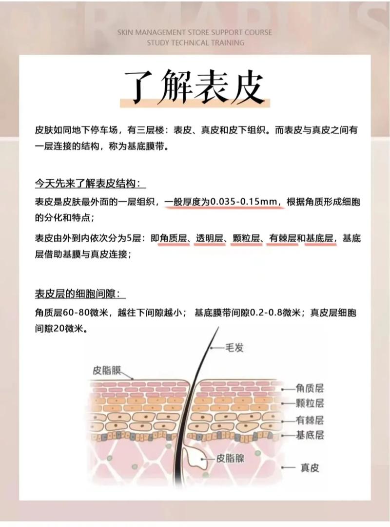 三、分层穿着:从皮肤到外壳的致命组合
