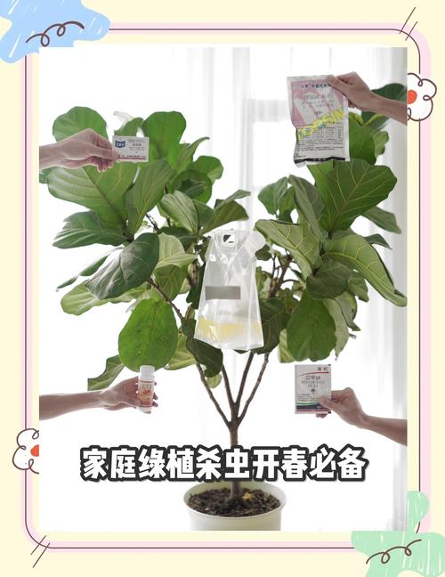 绿植天然防虫，适合什么样的家庭用