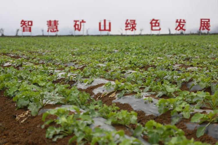 再制造：被低估的绿色富矿