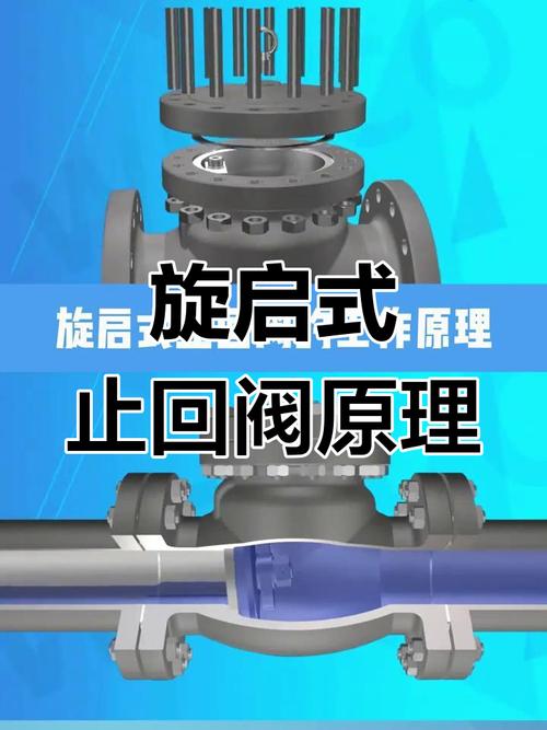 污水专用旋启式止回阀结构图