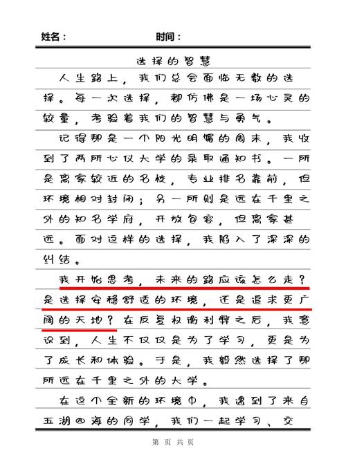 我的选择摇摆史