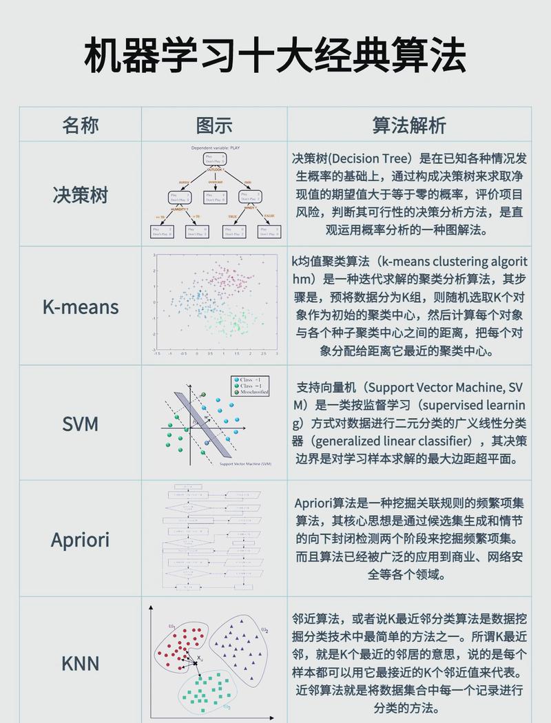算法解释权行使常见误区对比图