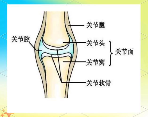 晨起关节发僵的活动前预热动作要领-仁者医